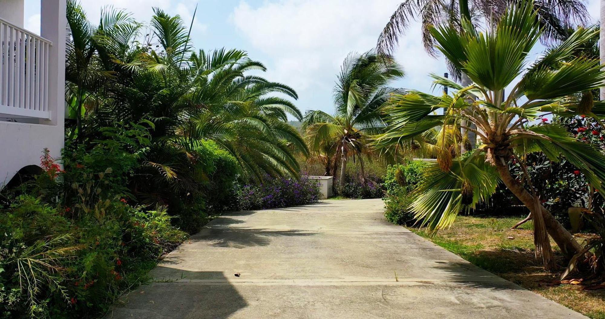 ​​​​​​​Hibiscus Beach House 2 Bedroom 2.5 Bath Take 30 Steps To Your Private Beach Christiansted Exterior photo