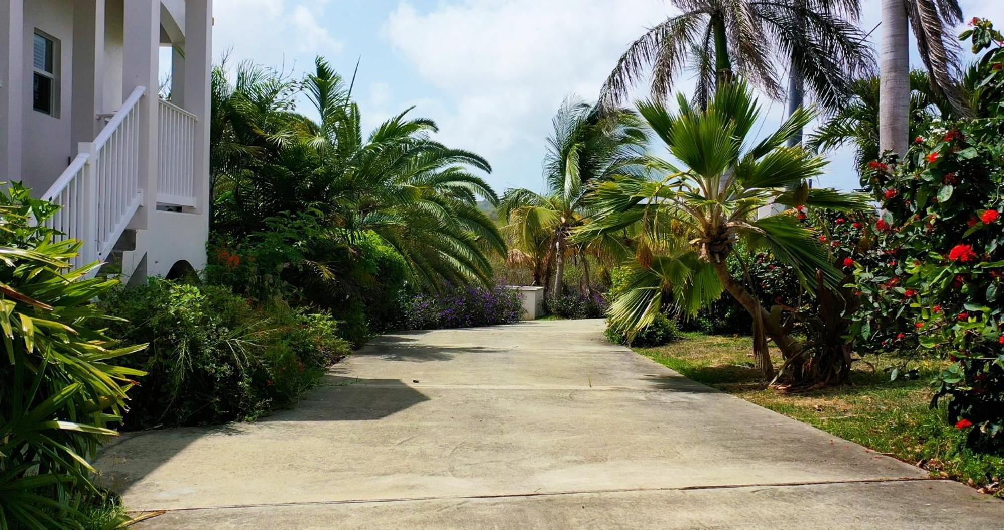 ​​​​​​​Hibiscus Beach House 2 Bedroom 2.5 Bath Take 30 Steps To Your Private Beach Christiansted Exterior photo